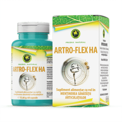 Artro Flex HA, 60 capsule, Hypericum