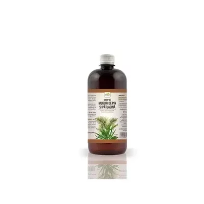 Sirop din Muguri de Pin și Pătlagină, 500 ml, Dorel Plant