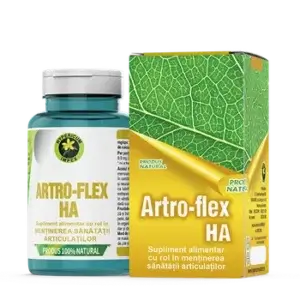 Artro Flex HA, 60 capsule, Hypericum