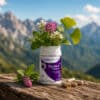 TELOM-R CEREBRAL – 120 capsule, DVR Pharm