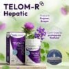 TELOM-R HEPATIC – 120 capsule, DVR Pharm