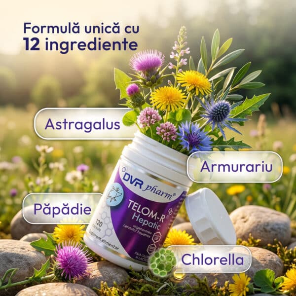 TELOM-R HEPATIC – 120 capsule, DVR Pharm
