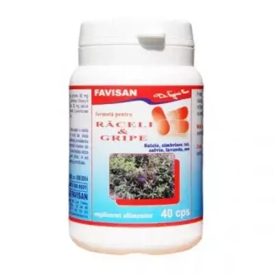 Formula pentru Răceli și Gripe, 40 capsule, Favisan
