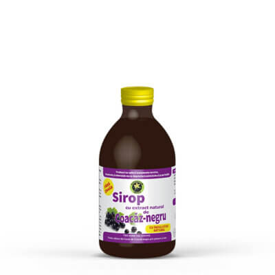 Sirop de Coacăz negru cu Stevia rebaudiana 250ml, Hypericum