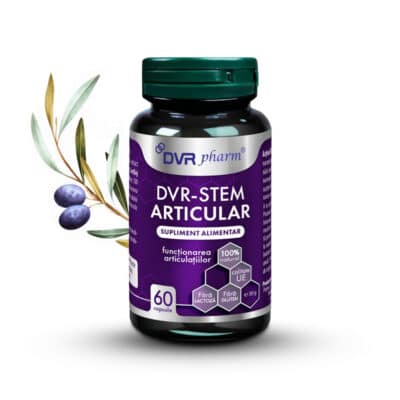 DVR Stem Articular, 60 capsule, DVR Pharm