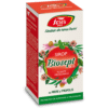 Biosept cu miere și propolis A13, sirop, 100 ml, Fares