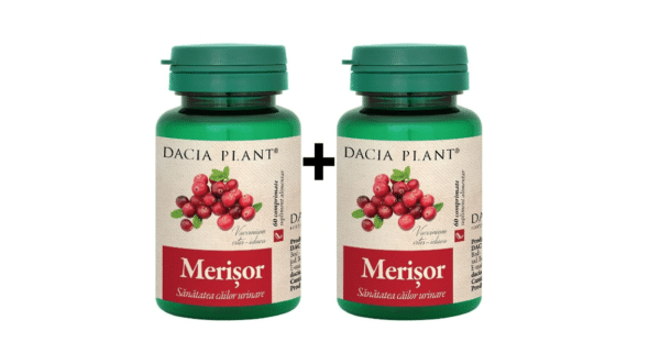 merisor