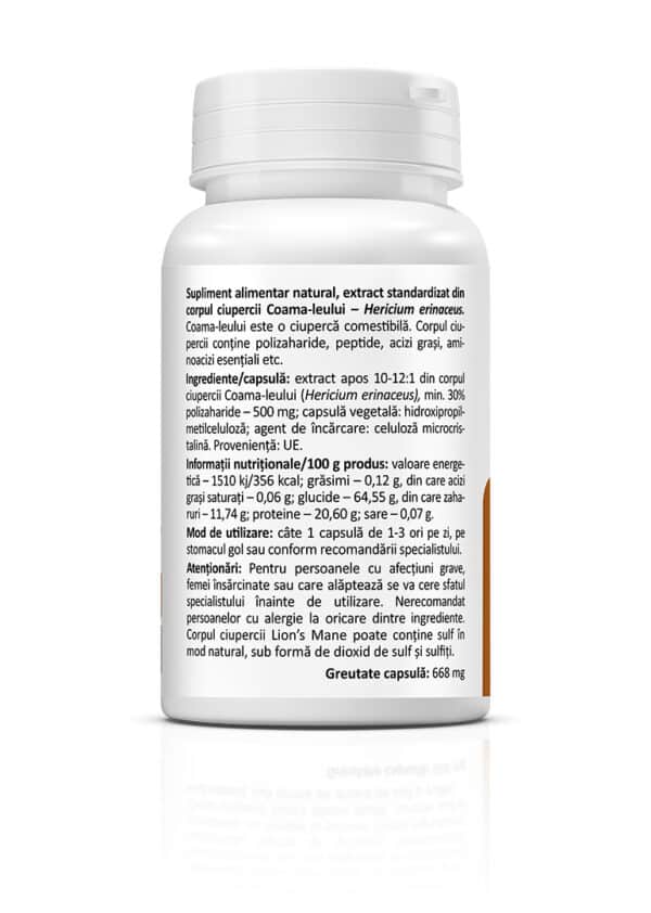 5941872402569-1 Lion’s Mane 500 mg, 60 capsule, Zenyth