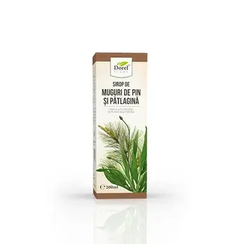 Sirop de Muguri de pin și pătlagină, 200ml, Dorel Plant