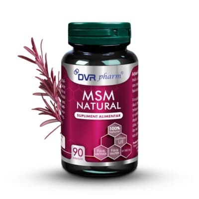 MSM natural, 90 capsule, DVR Pharm