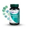 RHODIOLA ANTISTRES – 60 capsule, DVR Pharm