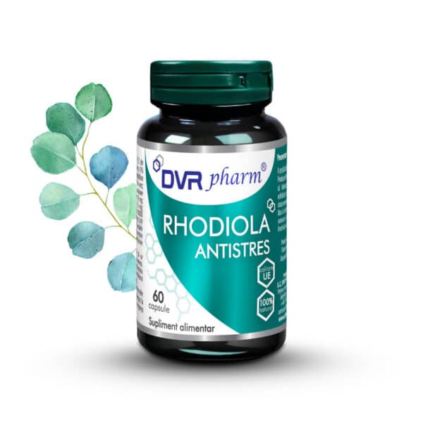 RHODIOLA ANTISTRES – 60 capsule, DVR Pharm