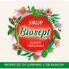 Biosept A16, sirop, 250 ml, Fares – imagine 4