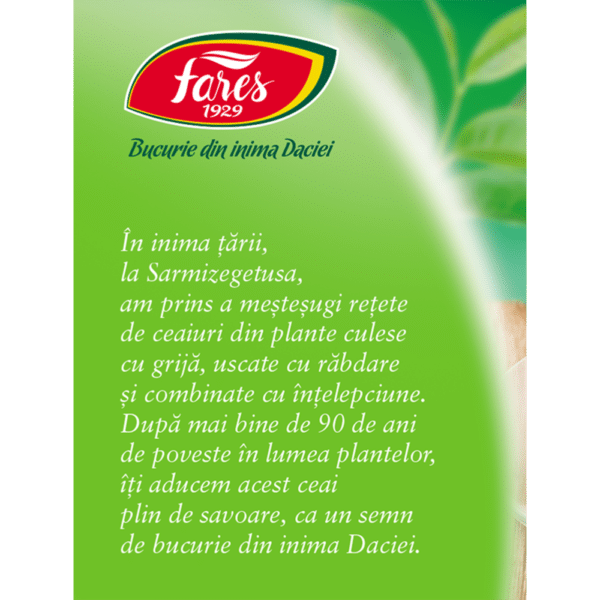 Ceai verde, 20 plicuri, Fares – imagine 3