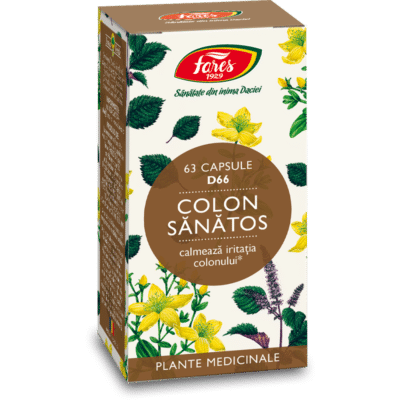 Colon sănătos D66, 63 capsule, Fares