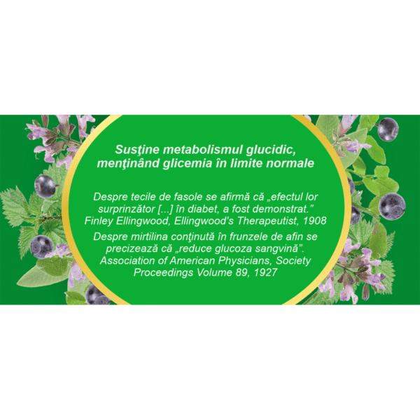 Ceai Glicostat M95, 20 plicuri, Fares – imagine 4