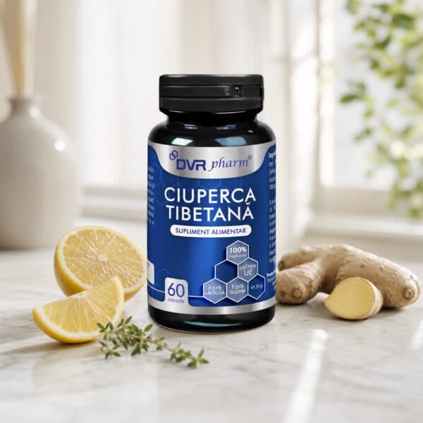 Ciupercă tibetană, 60 capsule, Dvr Pharm