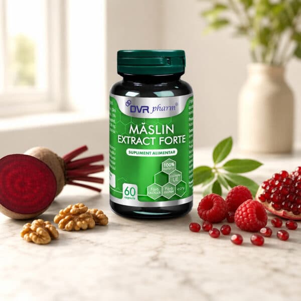 Măslin Extract Forte, 60 capsule, Dvr Pharm