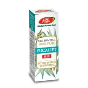 Ulei de eucalipt, 10 ml, Fares