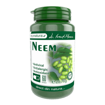 Neem, 60 capsule, Pro Natura