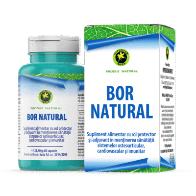 6422572008002 Bor Natural, 60cps, Hypericum