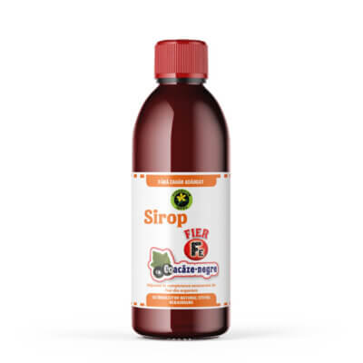 Sirop Coacaz-negru cu Fier și Stevia rebaudiana, 500ml, Hypericum