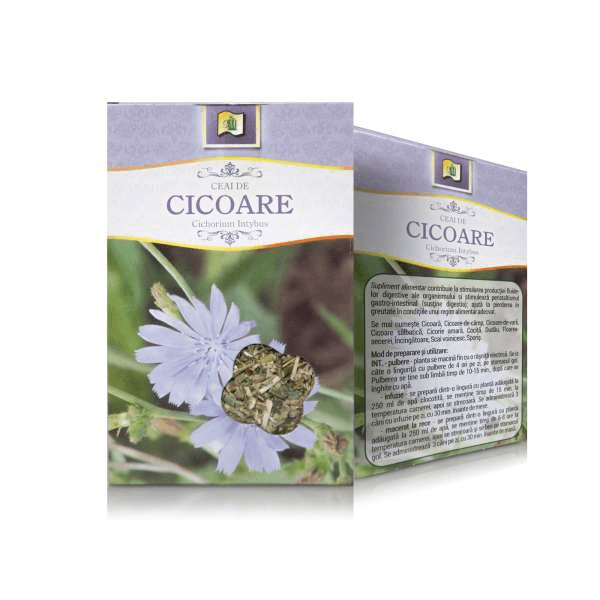 Ceai de Cicoare 600x600 1