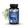 Ciupercă tibetană, 60 capsule, Dvr Pharm