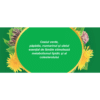 Ceai Colesterol M103, 20 plicuri, Fares – imagine 3