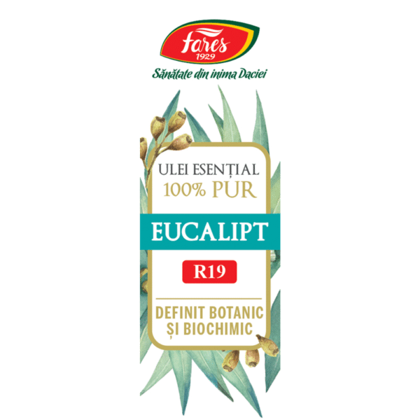 Ulei esențial de eucalipt R19, 10 ml, Fares Ulei esențial de eucalipt R19, 10 ml, Fares – imagine 5
