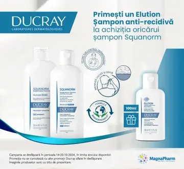 exemplu oferta 11