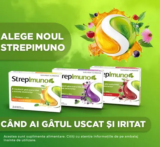 exemplu oferta 12