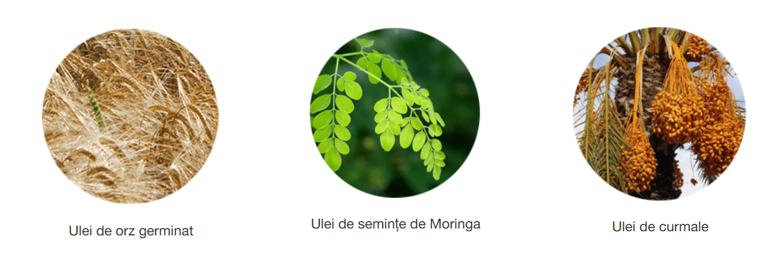 Screenshot 2026 01 21 182527