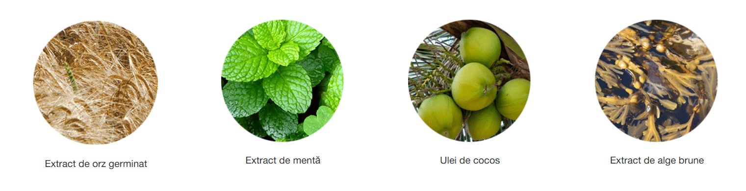 Screenshot 2026 01 21 182724