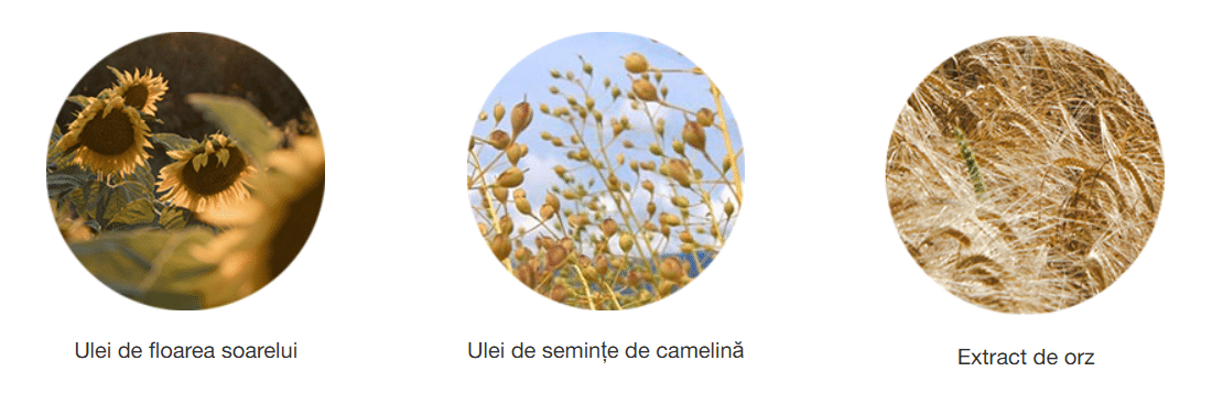 Screenshot 2026 01 21 183514