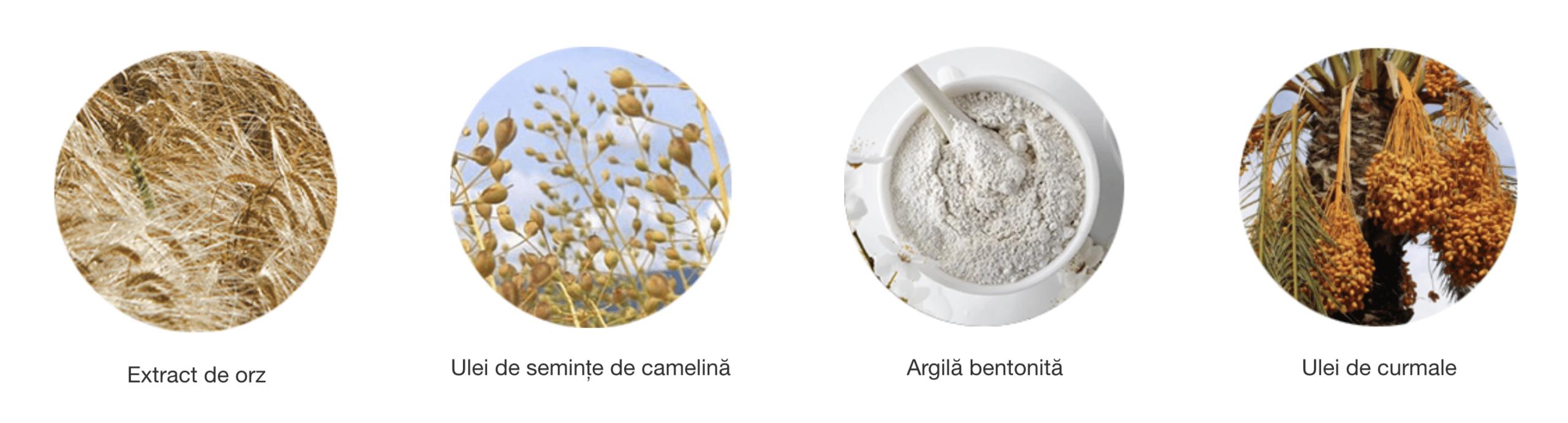 Screenshot 2026 01 21 at 12.37.09 scaled