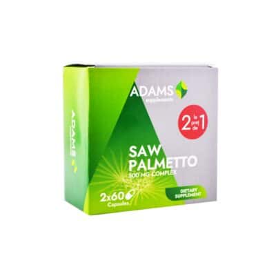 saw-palmetto