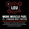 Gnc Amp Wheybolic, Proteina Din Zer, Cu Aroma De Vanilie, 1585,7 g