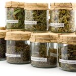 CINCI Plante minune care topesc grăsimea de pe burtă