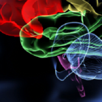 Metode simple de prevenire a pierderilor de MEMORIE