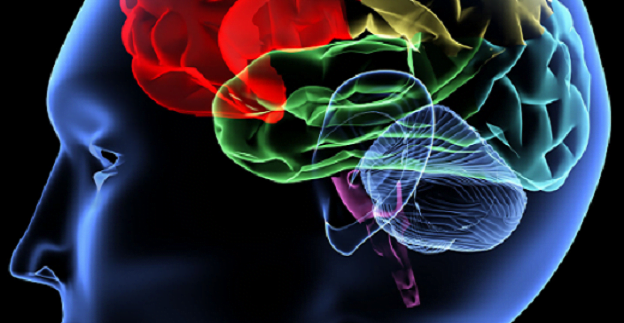Metode simple de prevenire a pierderilor de MEMORIE