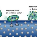 Argintul coloidal distruge microbii si celulele tumorale