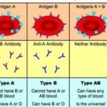 Dieta grupelor sanguine - Ce avantaje ai daca o urmezi