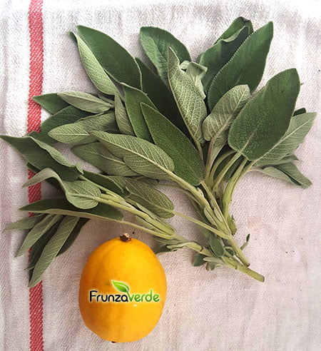 ingrediente