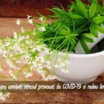 PATRU plante care combat stresul provocat de carantina COVID-19 si redau linistea inimii