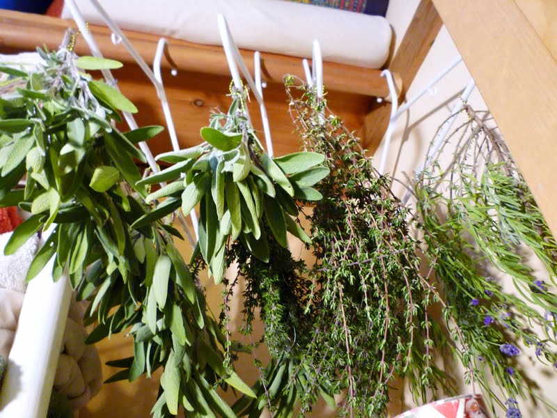 masoor dahl dried herbs 1231