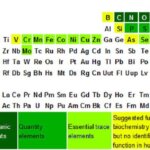 Cele 11 minerale esentiale pentru sanatatea organismului