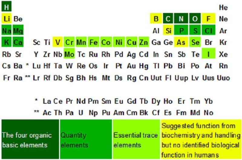Cele 11 minerale esentiale pentru sanatatea organismului