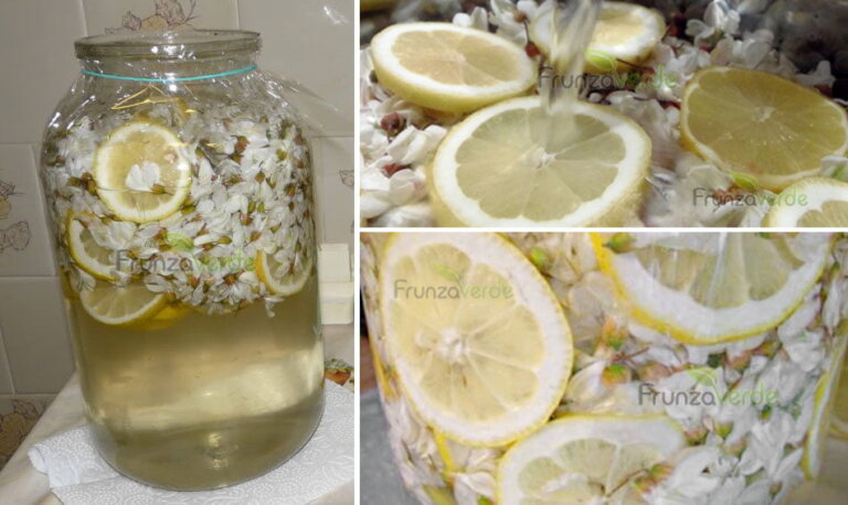 Reteta de SALCAMATA - Licoarea vindecatoare preferata a rusilor