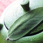 Dieta cu Suc de Salvie si Lamaie se tine MAXIM 3-4 zile